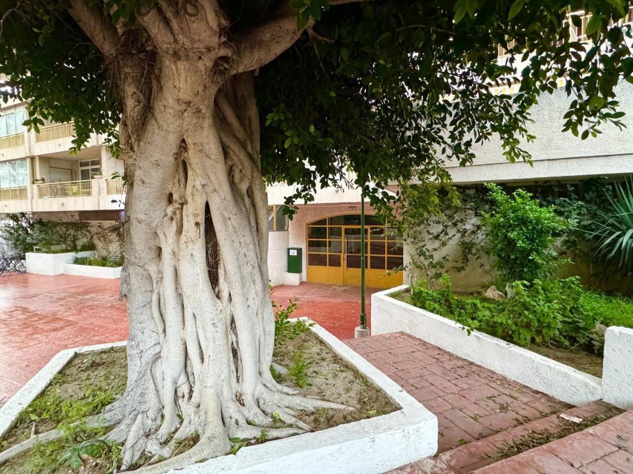 Apartsalou Lea 외부 사진